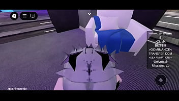 Roblox pov
