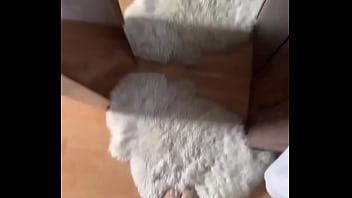 Hello have a nice monday #feet #feetworld #fetisch #nylonfetısh girl creator #socks #soles #wh