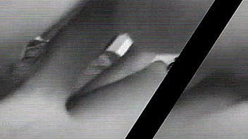 Homemade free amateur blowjob porn video