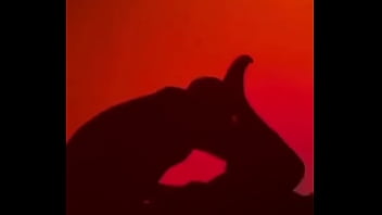 Lumberjack cam silhouette