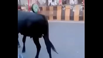 Video bokep part 33463285