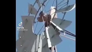 Video de risas en el que un hornero sufre dentro de su casa