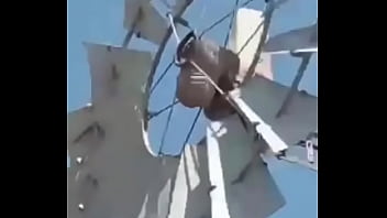 Video de risas en el que un hornero sufre dentro de su casa