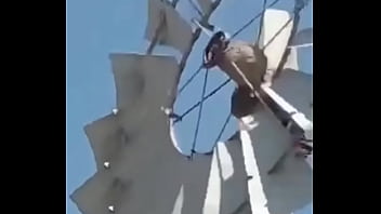 Video de risas en el que un hornero sufre dentro de su casa