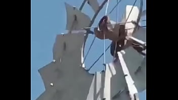 Video de risas en el que un hornero sufre dentro de su casa