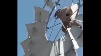 Video de risas en el que un hornero sufre dentro de su casa