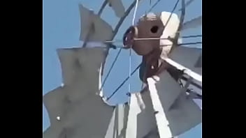 Video De Risas En El Que Un Hornero Sufre Dentro De Su Casa thumbnail