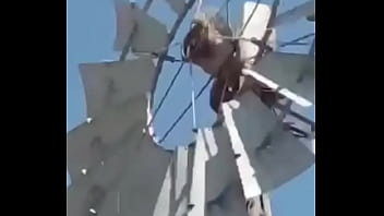 Video de risas en el que un hornero sufre dentro de su casa