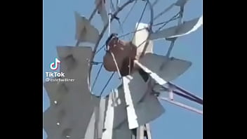 Video de risas en el que un hornero sufre dentro de su casa