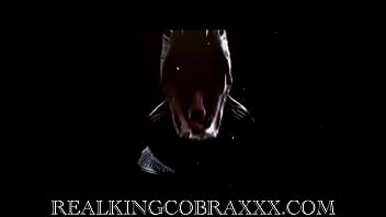 Would you consider this a merry xmas king cobra loves bringing glad tidings and good dick to sexy milfs as the gorgeou