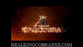 Would you consider this a merry xmas king cobra loves bringing glad tidings and good dick to sexy milfs as the gorgeou