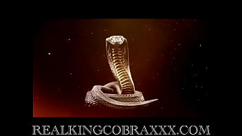 Would you consider this a merry xmas king cobra loves bringing glad tidings and good dick to sexy milfs as the gorgeou
