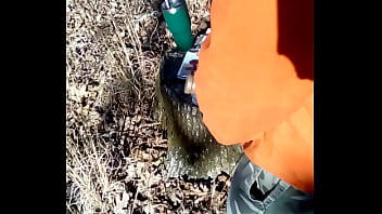 Vid 20180131 151820 1