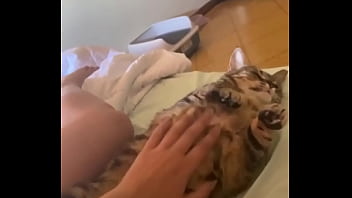 Kinky kitty compilation video 81