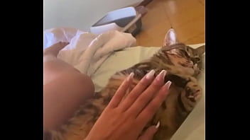 Kinky kitty compilation video 81