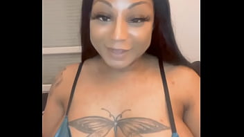 Lizamonet update #65 dec 13 2021