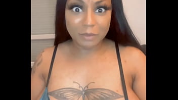 Lizamonet update #65 dec 13 2021