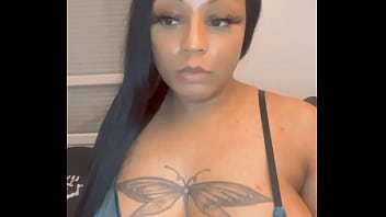 Lizamonet update #65 dec 13 2021