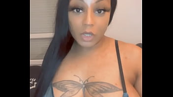 Lizamonet update #65 dec 13 2021