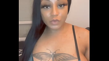 Lizamonet update #65 dec 13 2021