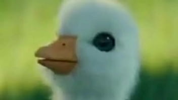 Sougaulex Entrevista A Putito Chispos Y Terminan Follando Muy Hot thumbnail