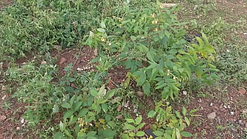 Fucking my bed tastes good masturbators let's gather here