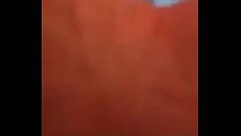 Insertando el tronco al bosque