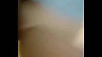 Insertando el tronco al bosque