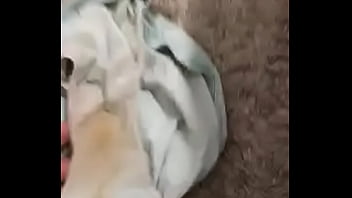 Oliendo las bragas usadas