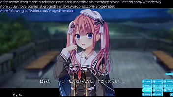 Hentai visual novel