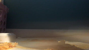 Sexy girl with lovely feet tramples sploshes her cookies