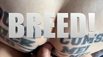 Fuck fist breed cumdumpfuck n go derby sunday 3 eve & mon 4 morn august derby pride park travelodg