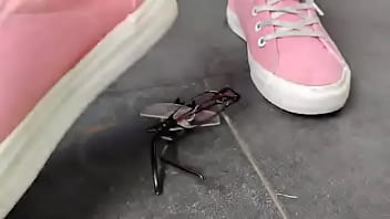 Destruction of eyeglasses