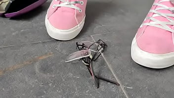 Destruction of eyeglasses