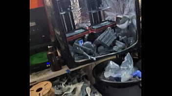 Let's See What Xvid Thinks About This Content thumbnail