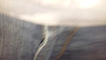 Видео для верификации