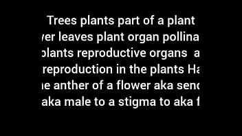 I woke up to ugly brown autumn trees freestyle