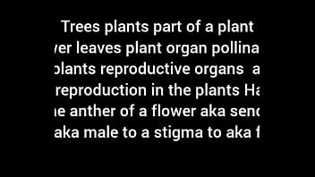 I woke up to ugly brown autumn trees freestyle