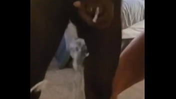 Blasting On The Mirror thumbnail