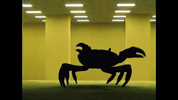 The backroom is pacifist