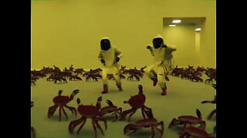 The backroom is pacifist