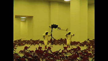 The backroom is pacifist