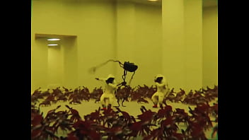 The backroom is pacifist