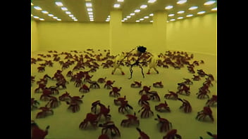 The backroom is pacifist