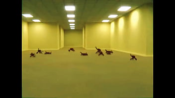 The backroom is pacifist