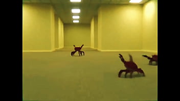 The backroom is pacifist The backroom is pacifist