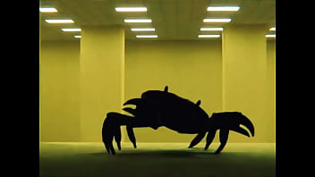 The backroom is pacifist