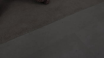 Newbie kate enchanted goes first dp with big dicks