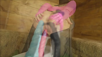 Sam zee horsing around in the barn dp dap