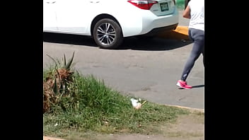 Trim 20161017 125225